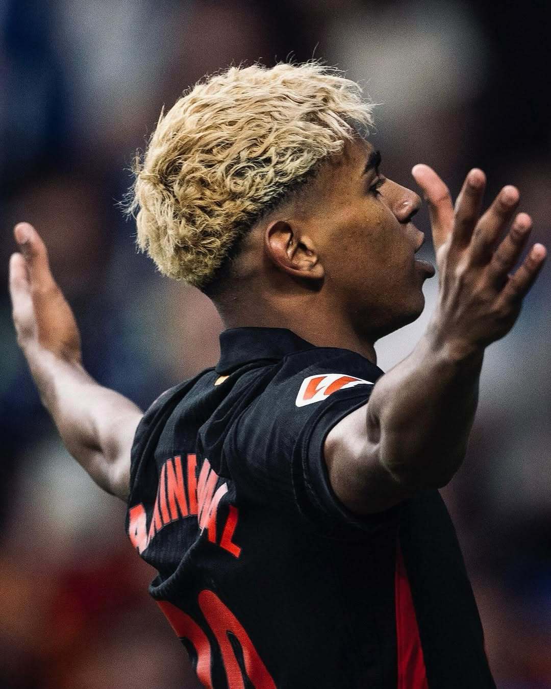 卫冕冠军巴, 决定, 赛季初